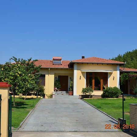 Kavala Villa 360 Degrees Green Amisianá 외부 사진