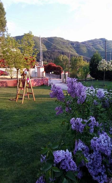 Kavala Villa 360 Degrees Green Amisianá 외부 사진